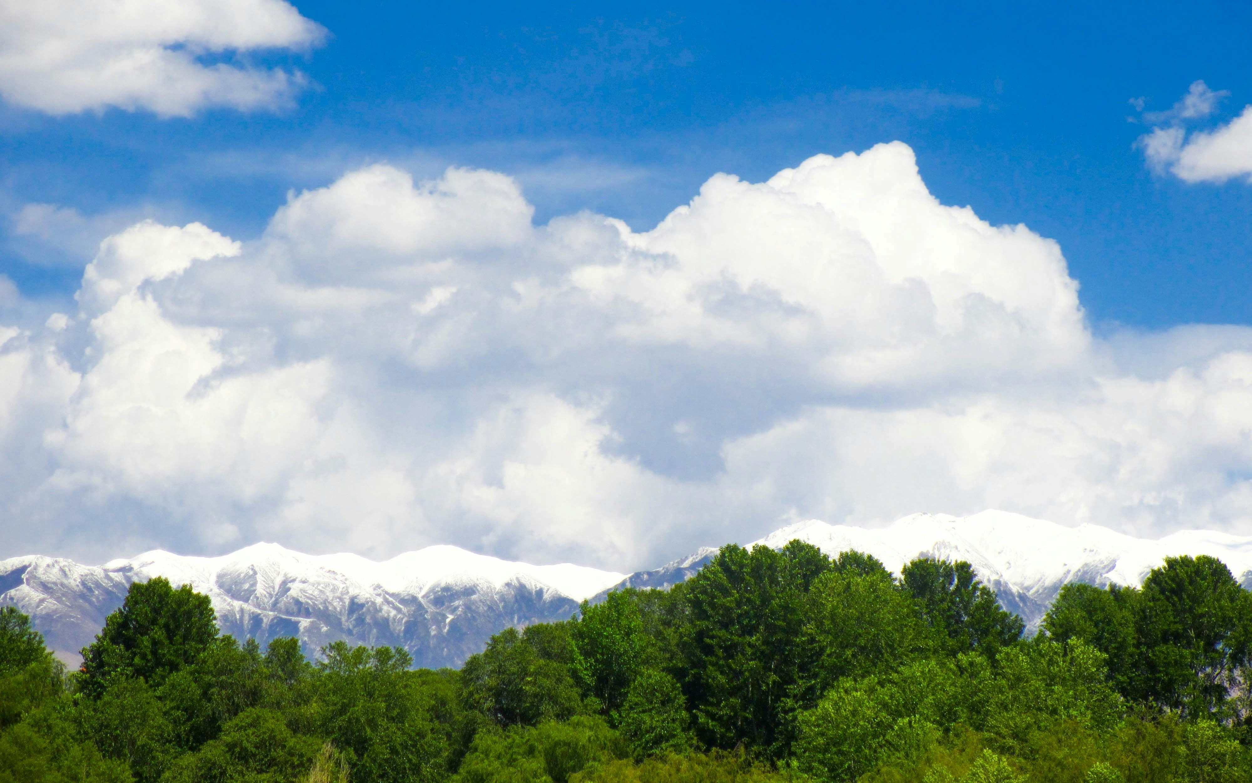 Free Unsplash photo from Amy Skyer