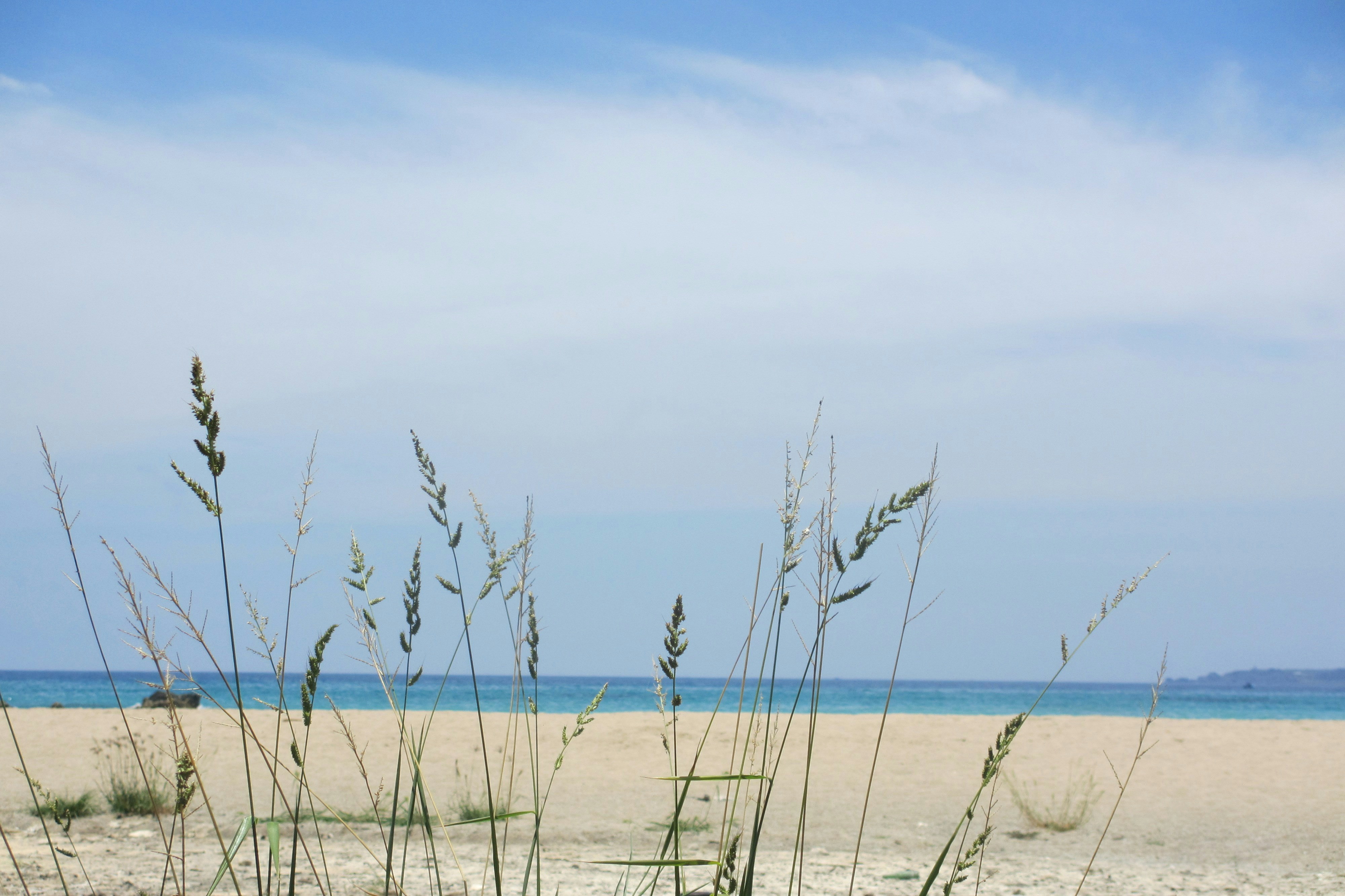 Free Unsplash photo from Amy Skyer