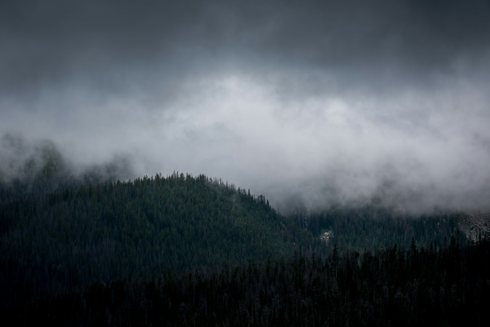 Nikon AF-S Nikkor 200-500mm F5.6E ED VR sample photo. Mountain under fog photography