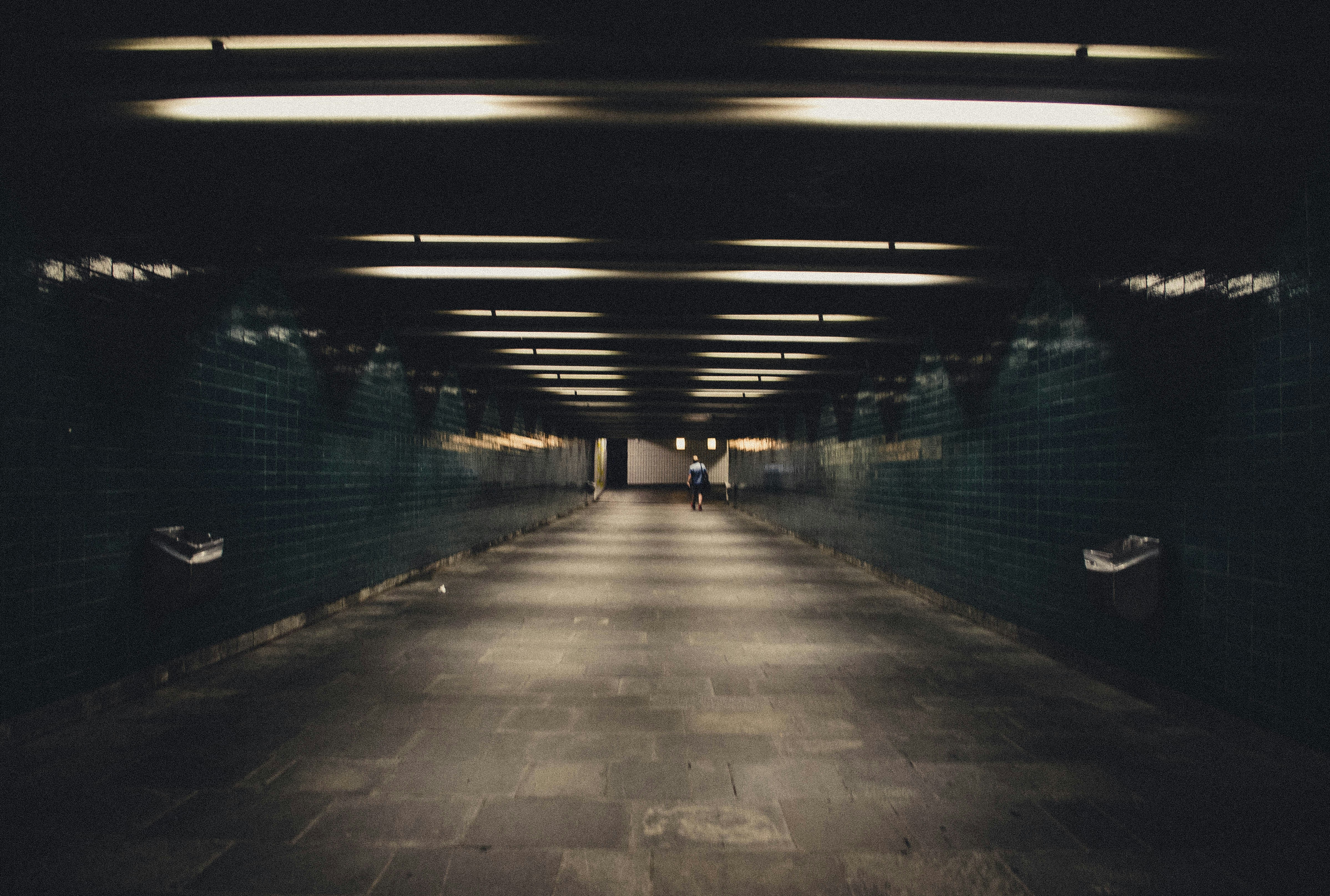 Free Unsplash photo from Jorge Mallo