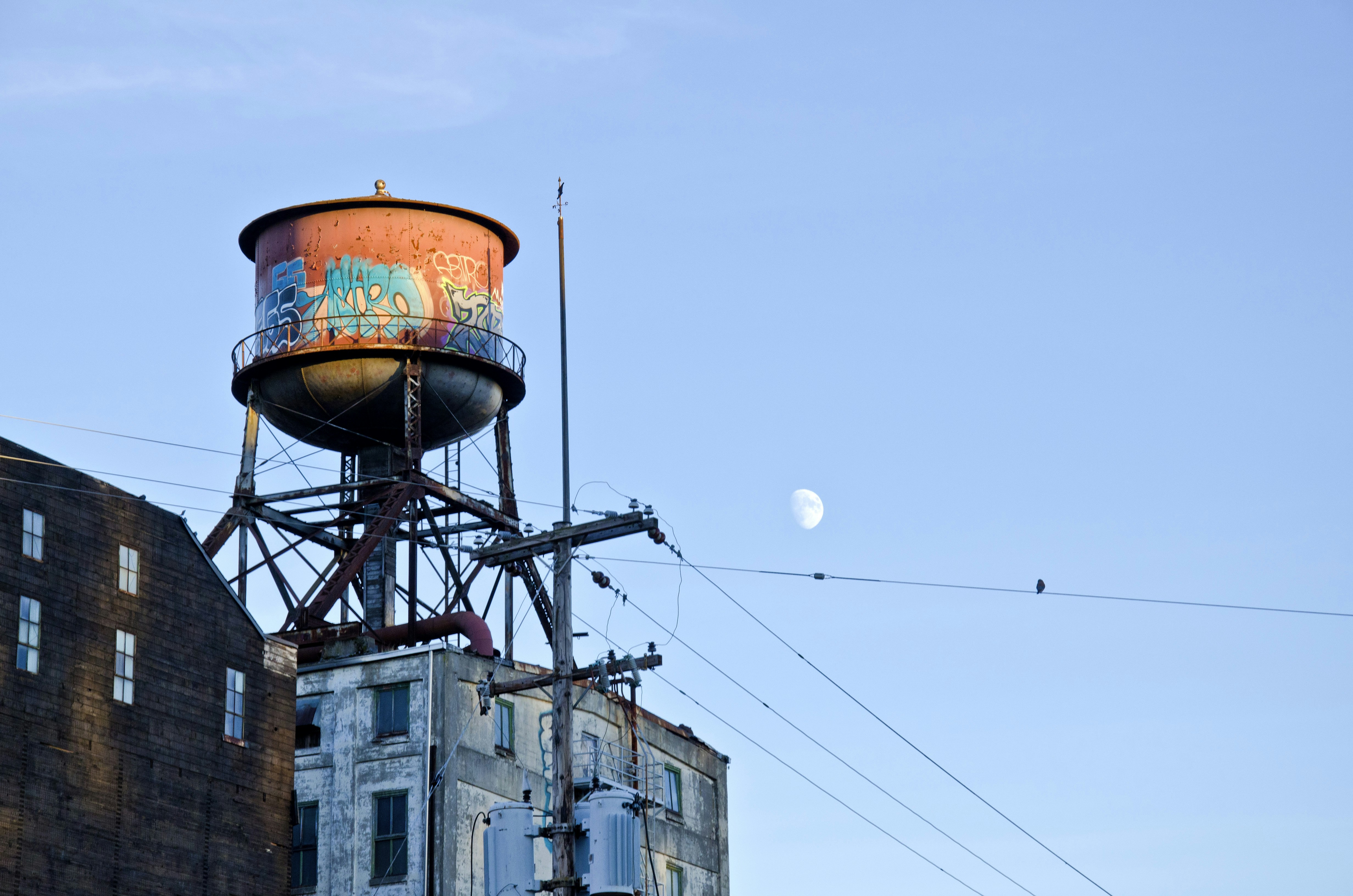 Free Unsplash photo from Jamison McAndie