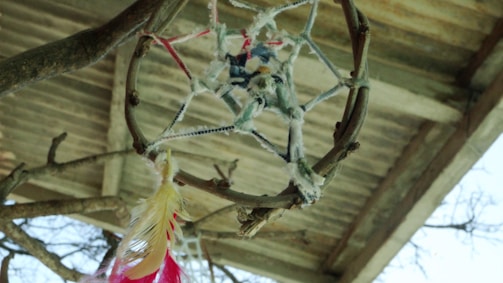 A handcrafted dreamcatcher made of twigs, string, and colorful beads is hung on a branch. It features red and yellow feathers hanging from the bottom. The background shows a rustic metal roof and branches of a tree.