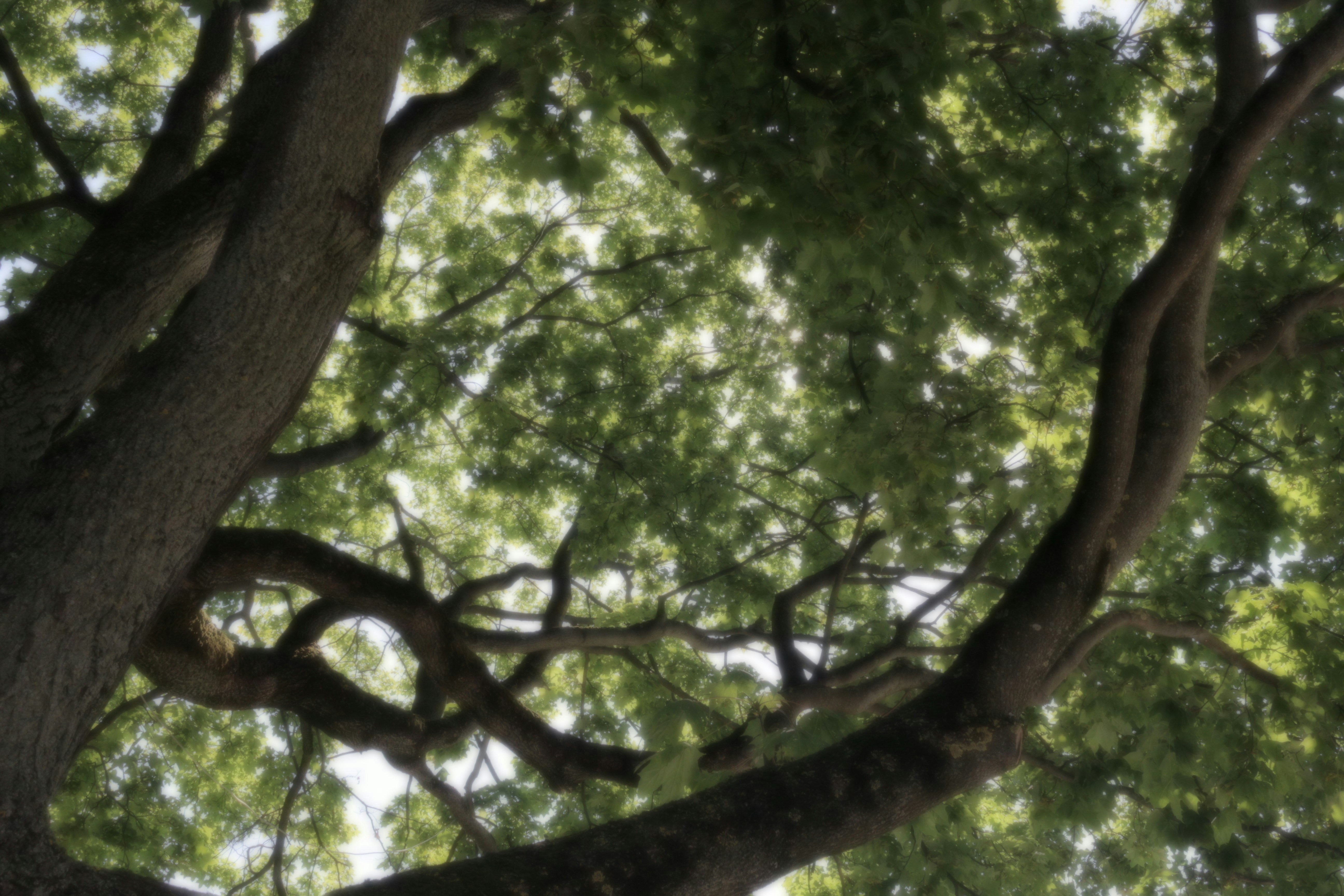 Free Unsplash photo from Andrej Barsukov