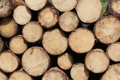 stack of cut log firewood zoom background