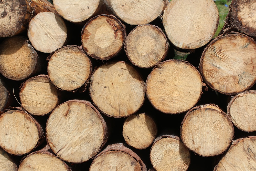 stack of cut log