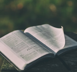 opened bible book on grey surface