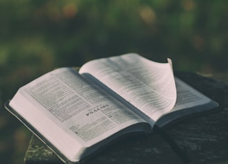 opened bible book on grey surface