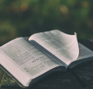 opened bible book on grey surface