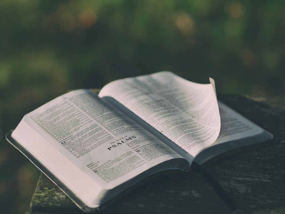 opened bible book on grey surface