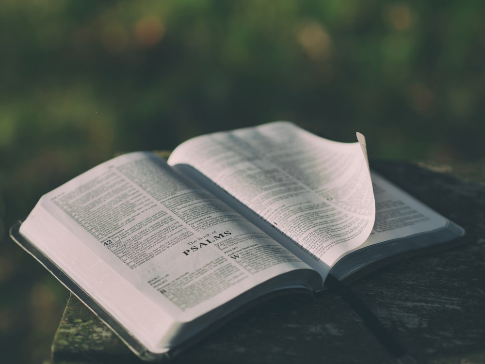 27+ Holy Bible Pictures | Download Free Images on Unsplash