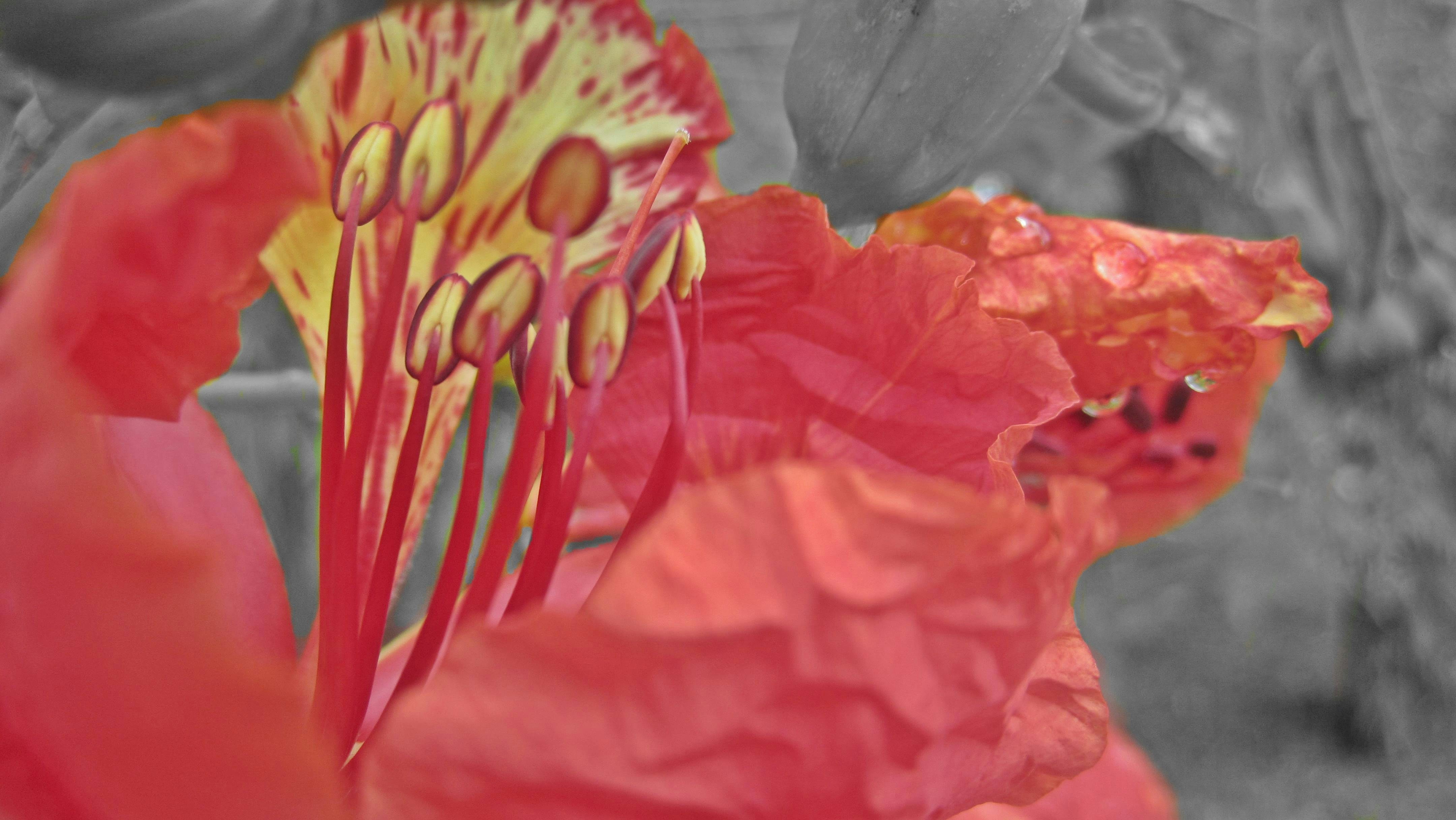 Free Unsplash photo from Jay El Bautista