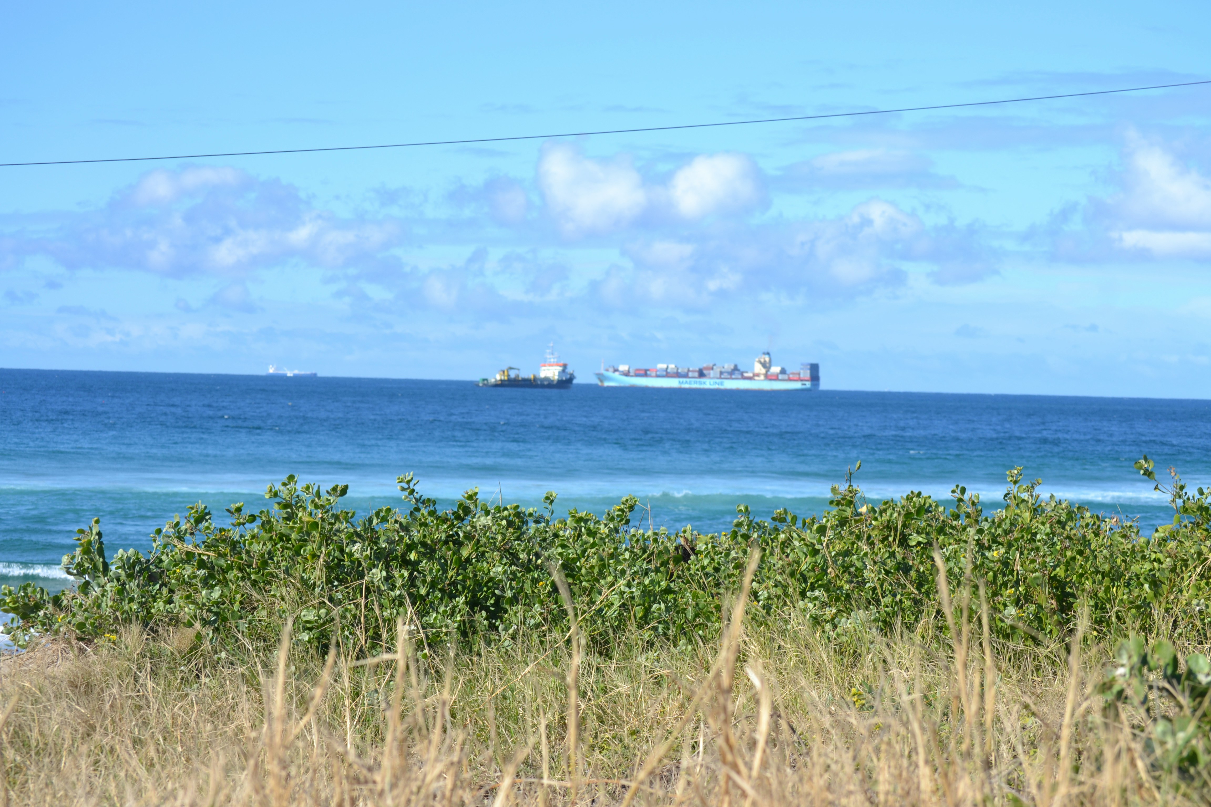 Free Unsplash photo from Carolinie Cavalli