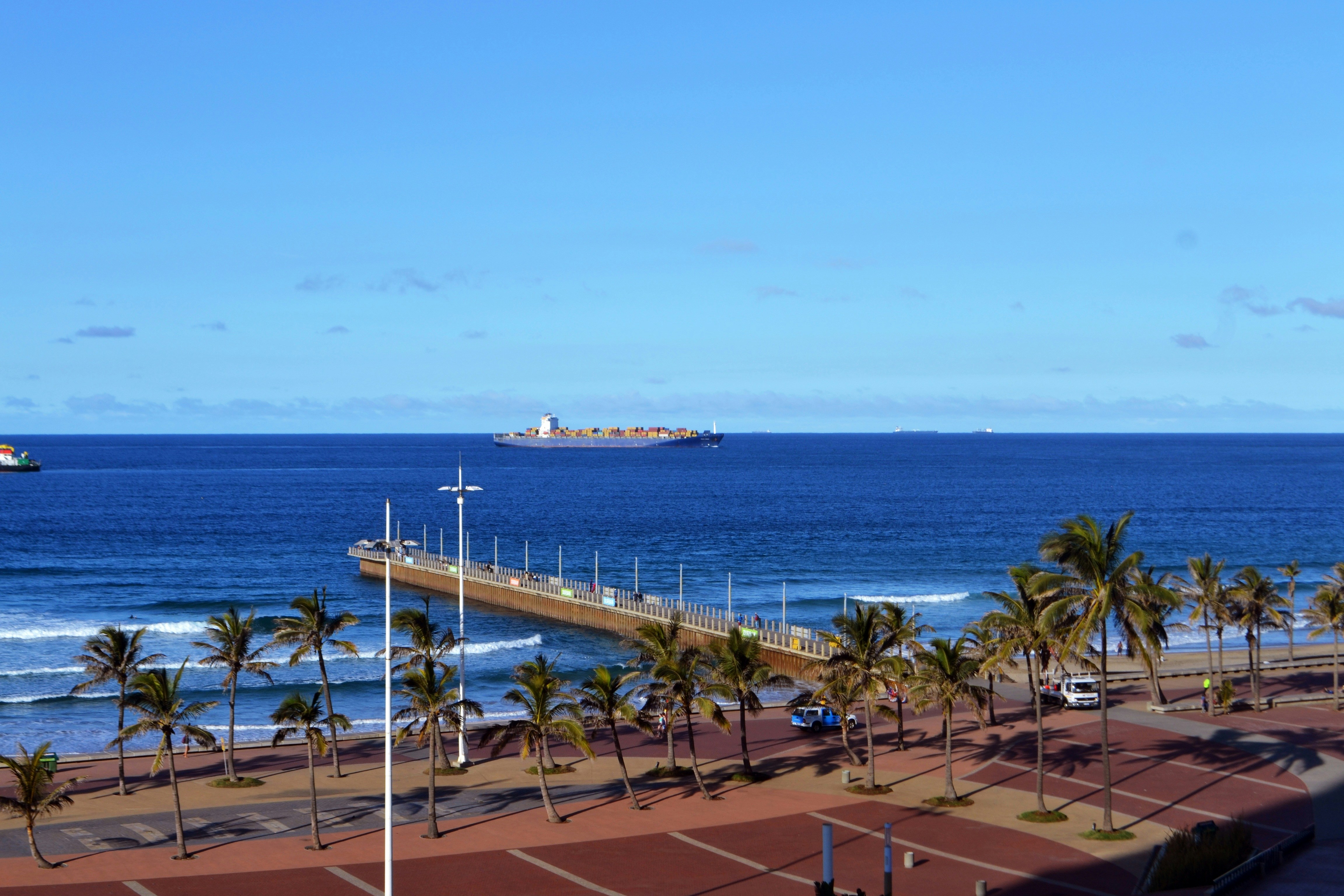 Free Unsplash photo from Carolinie Cavalli