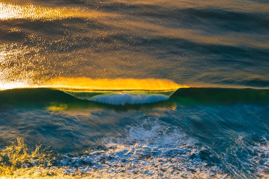 body of water in Burleigh Heads Australia