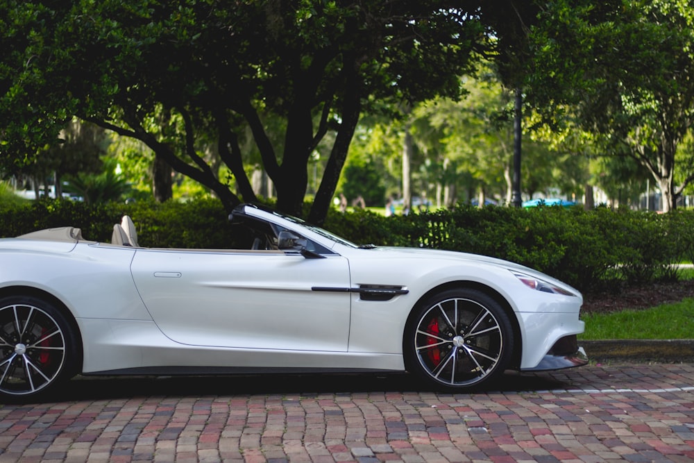 Aston Martin conversível branco estacionado perto de árvores