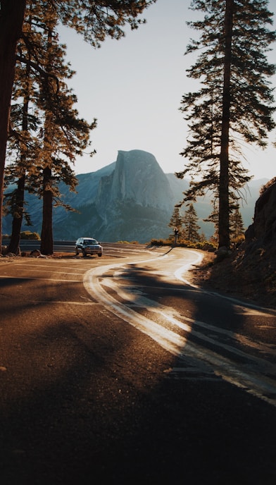 car on curve road surrounded by trees