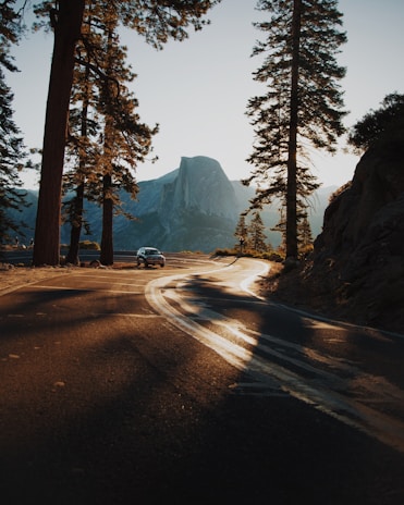 car on curve road surrounded by trees