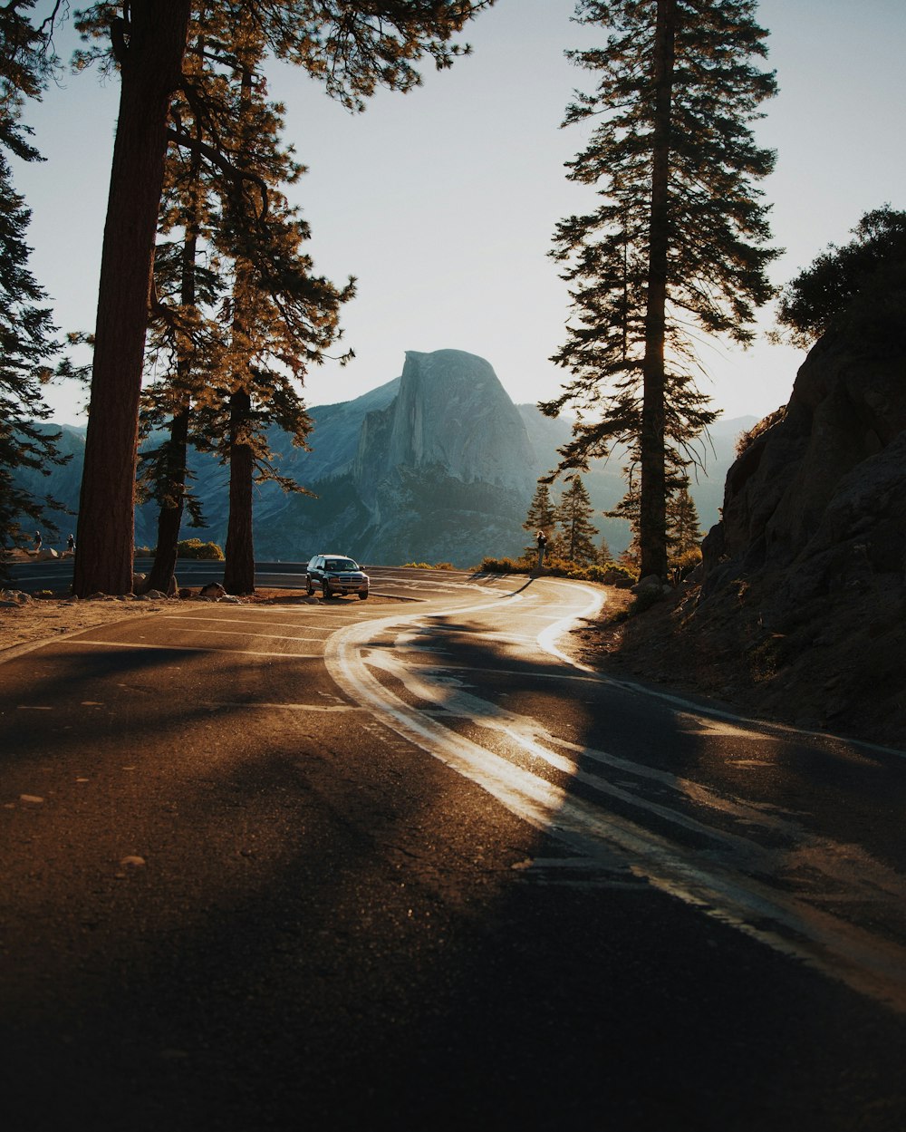 car on curve road surrounded by trees