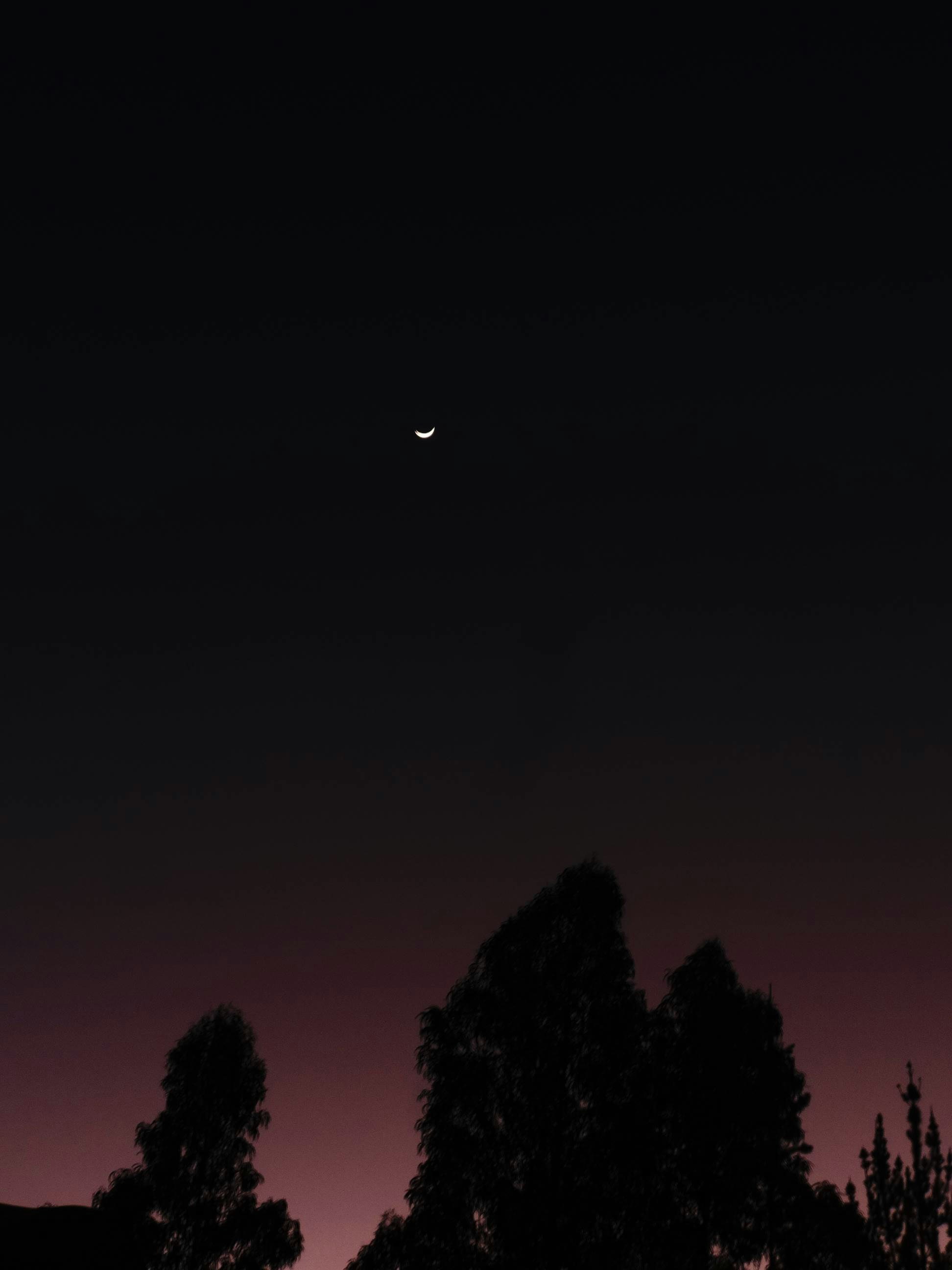 Free Unsplash photo from Emely  Veliz