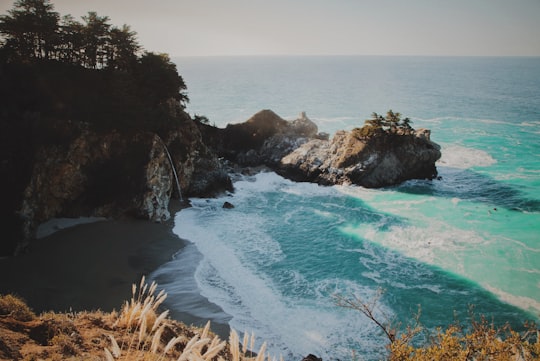 brown cliff in Julia Pfeiffer Burns State Park United States