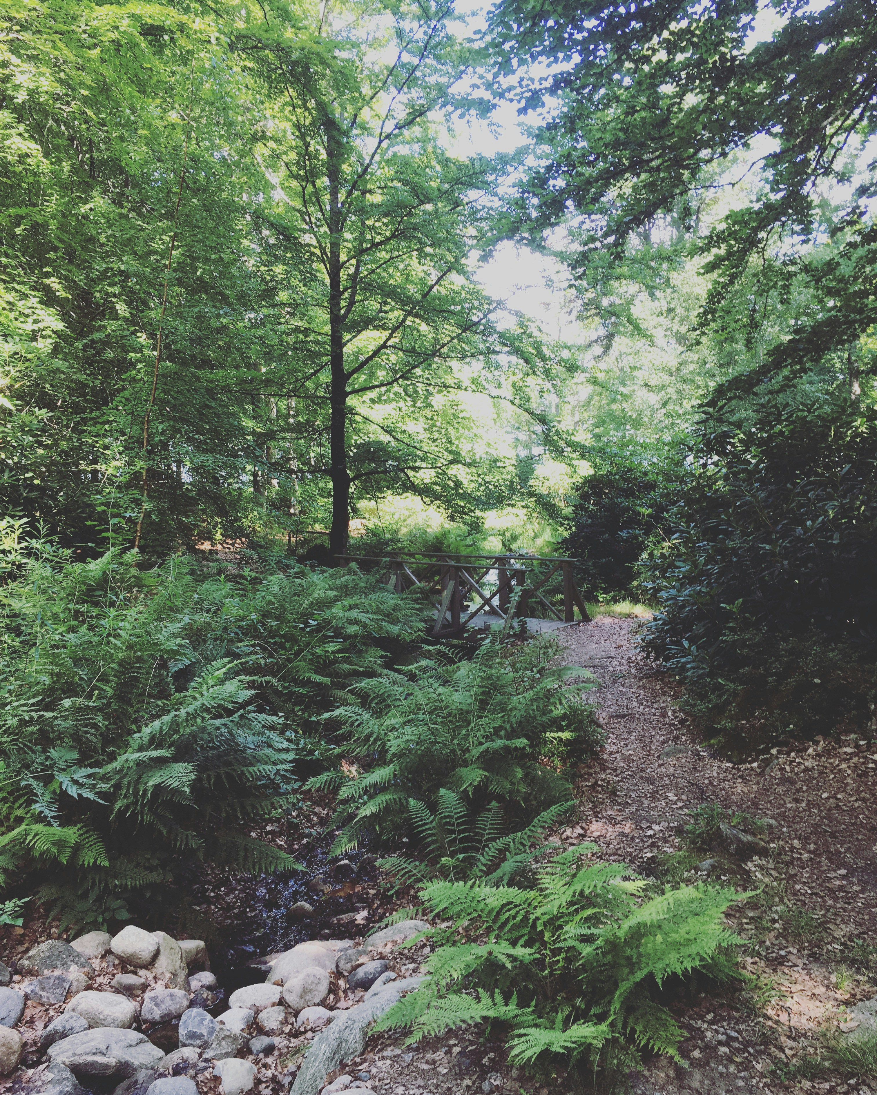 Free Unsplash photo from Denisa Bialá