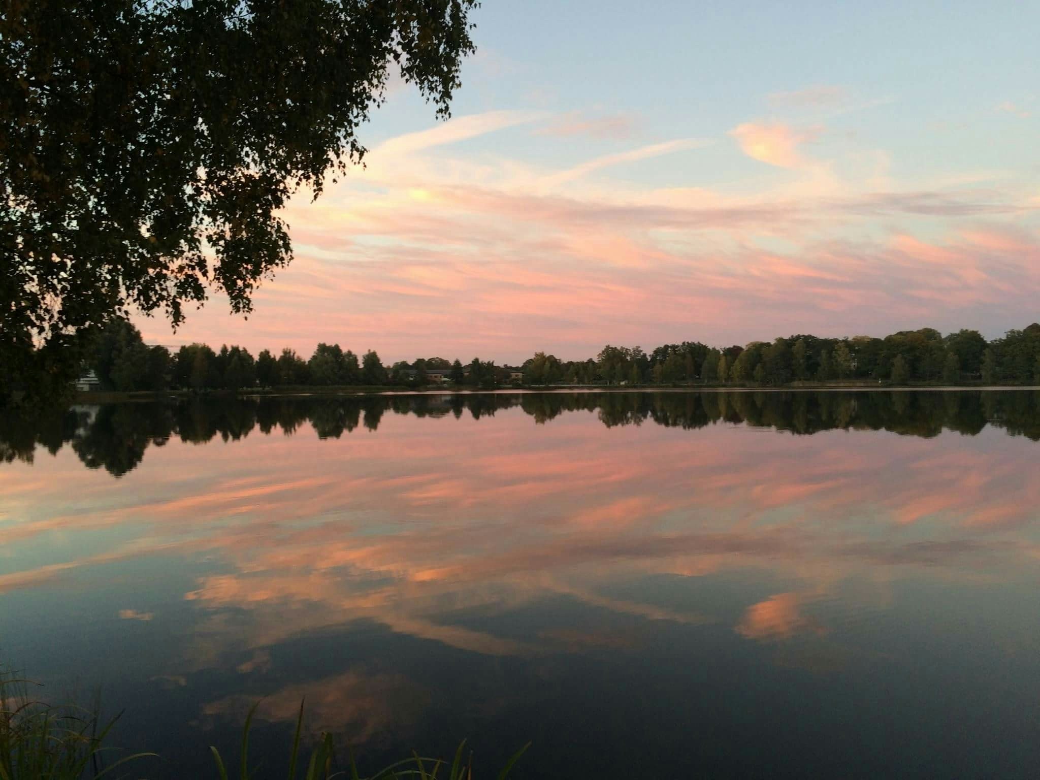 Free Unsplash photo from Denisa Bialá