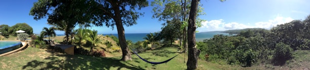 A cozy beachfront villa with a hammock and palm trees under a clear blue sky.