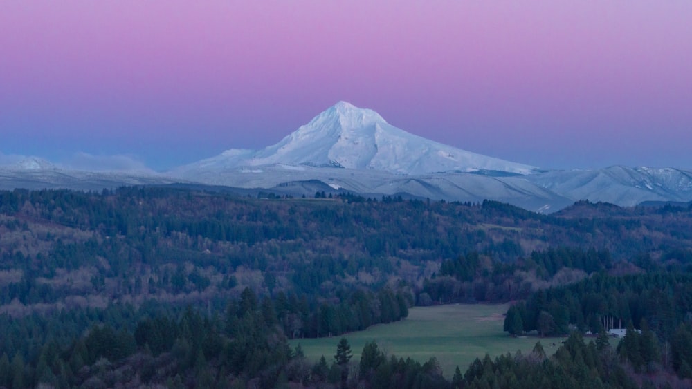 white snow-covered mountain