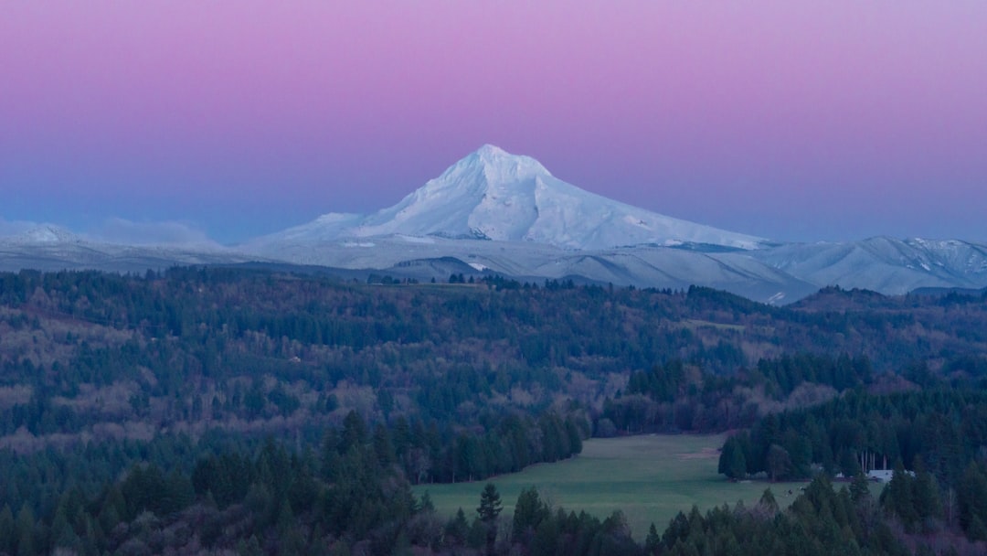 7 Unmissable Adventures in Oregon From Blooming Flower Fields to Epic Outdoor Trails