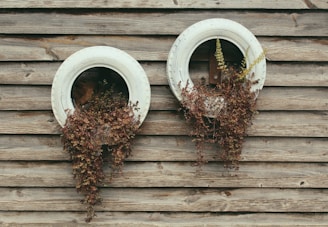 two white tires with dried leafs