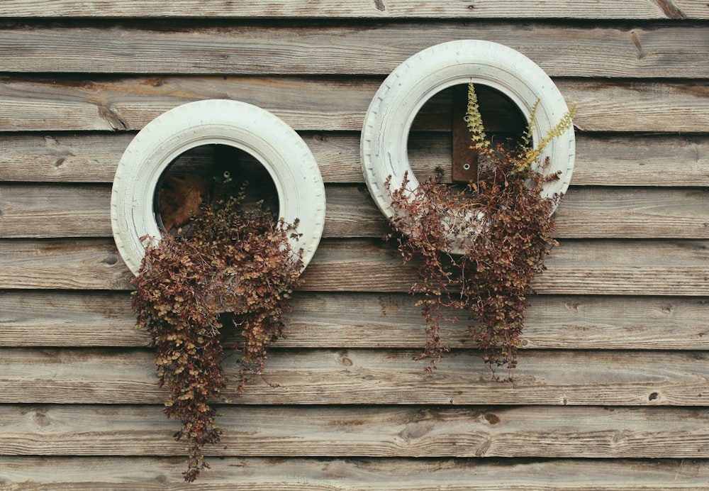 two white tires with dried leafs