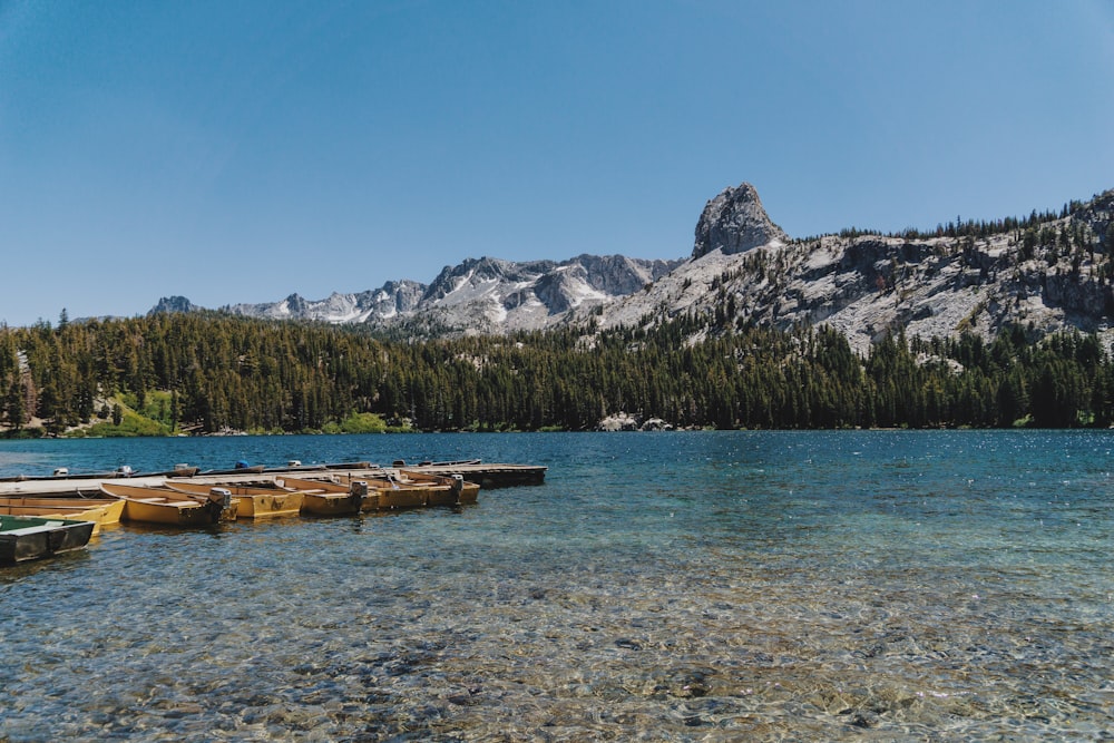 body of water during daytime