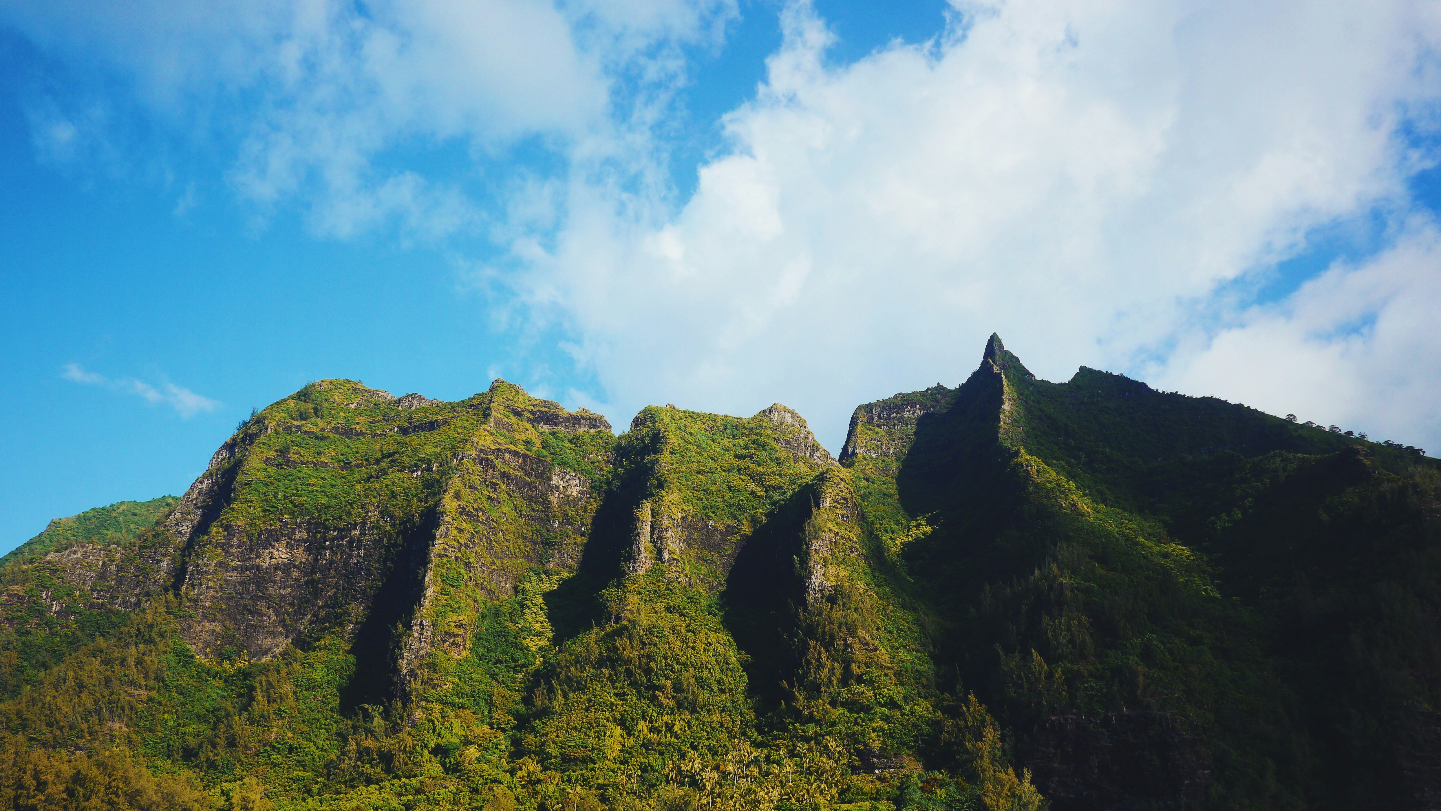 landscape photo of grassy mountain, Sharp green mountain ridge