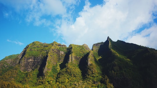 landscape photo of grassy mountain in Kauai United States