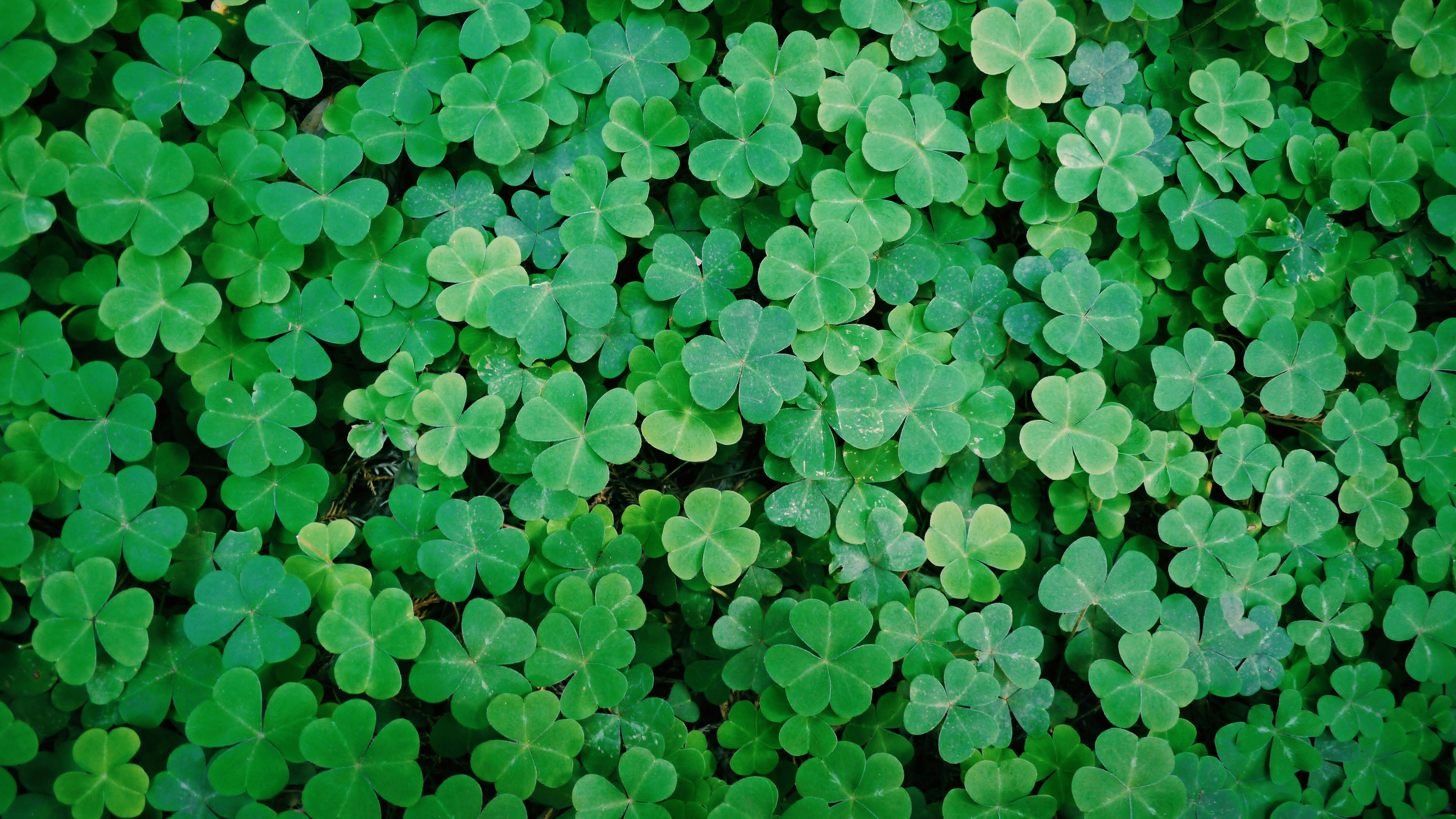 Free Unsplash photo from Skyler Smith