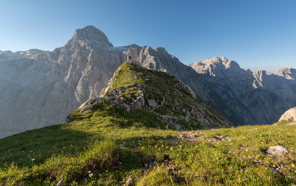 montagna floreale verde sotto il cielo blu di giorno