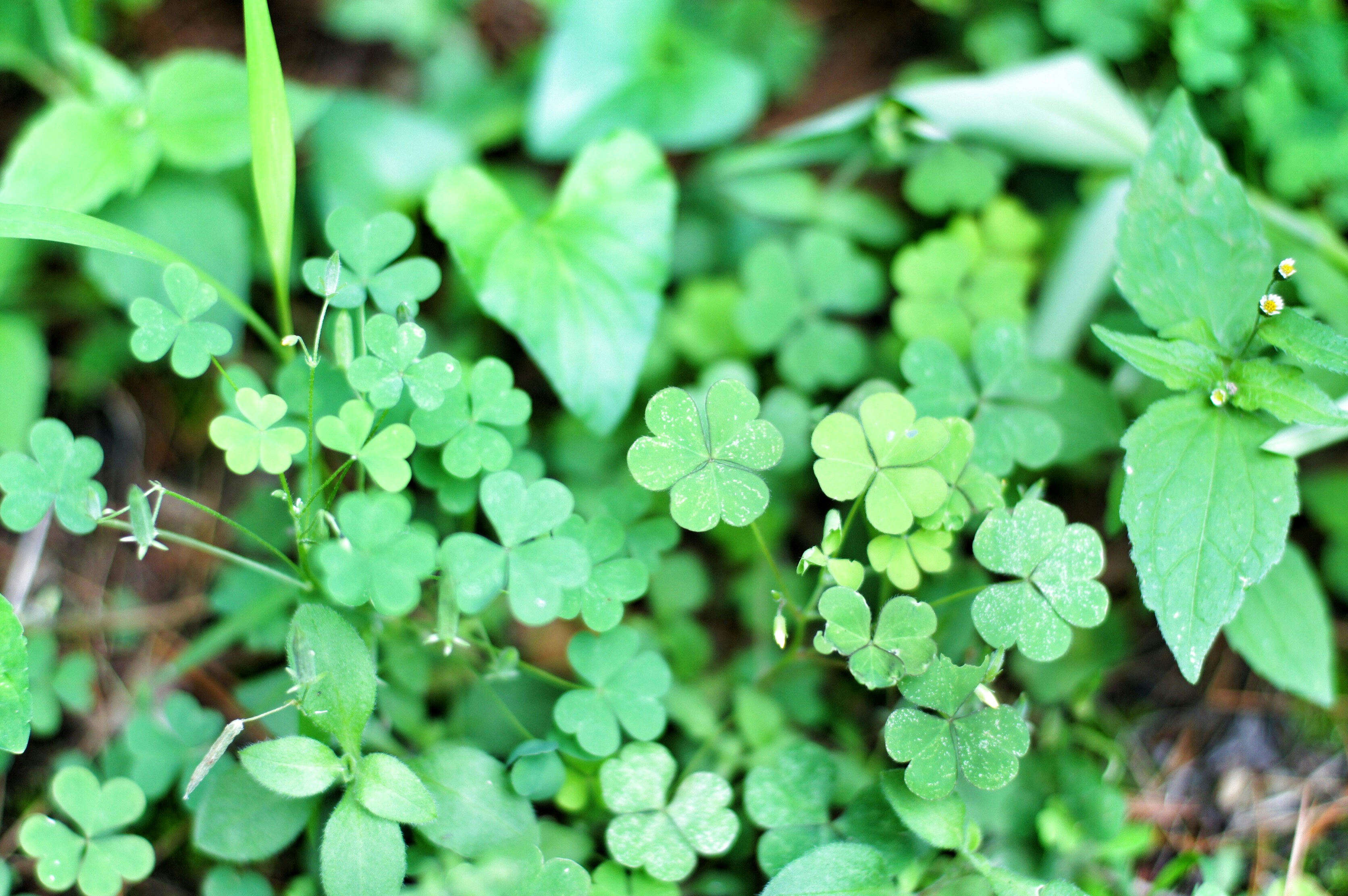 Free Unsplash photo from jungwook shin