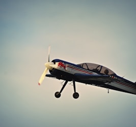 photo of Red Bull print plane