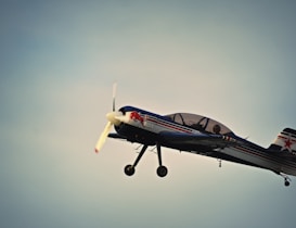 photo of Red Bull print plane