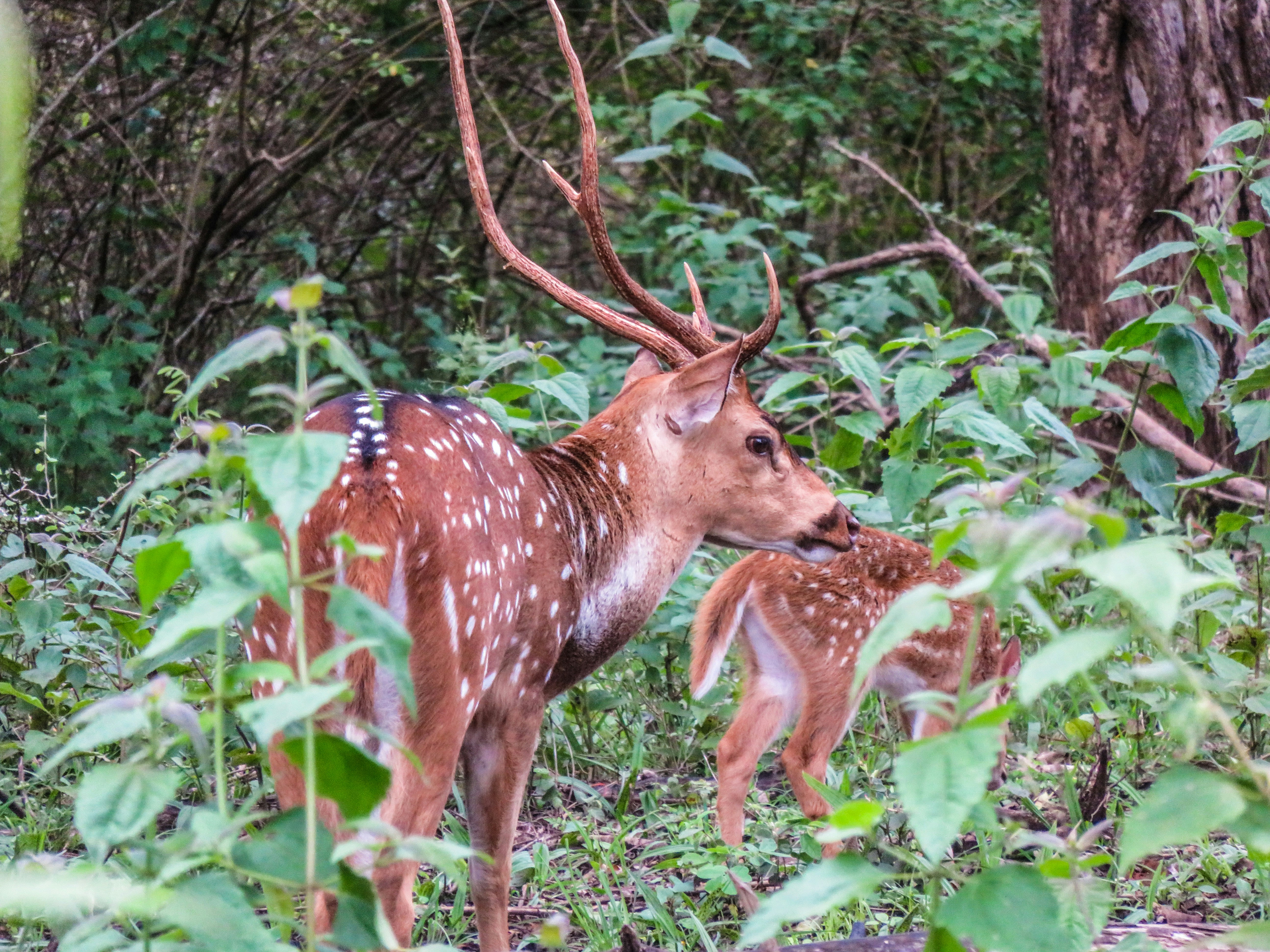 Free Unsplash photo from Zain Fiaz