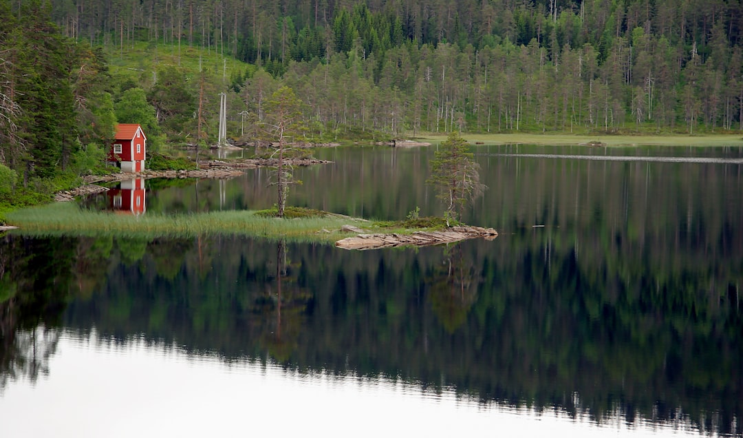 Nature reserve photo spot Markane Norway