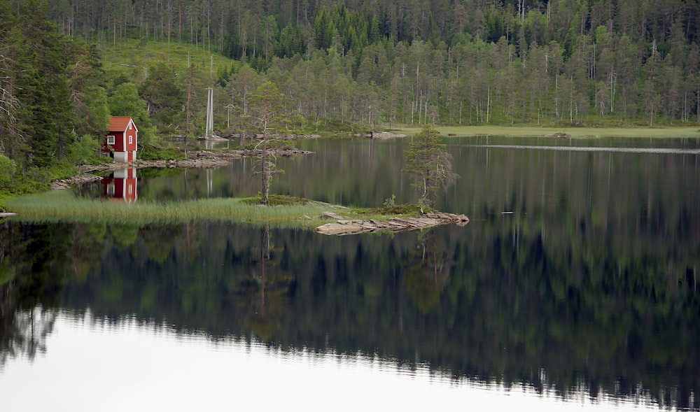 red house near body of water during daytime