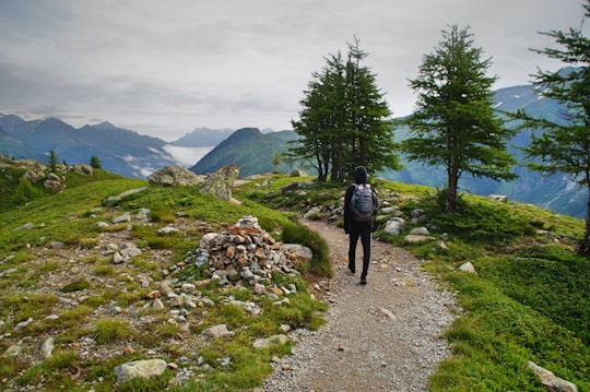 person wearing black leather backpack walking beside green leaf tree in Lac Blanc France