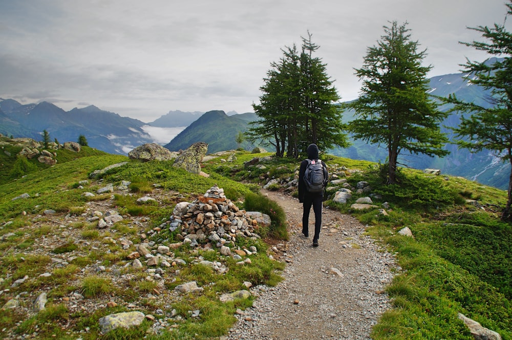 person wearing black leather backpack walking beside green leaf tree