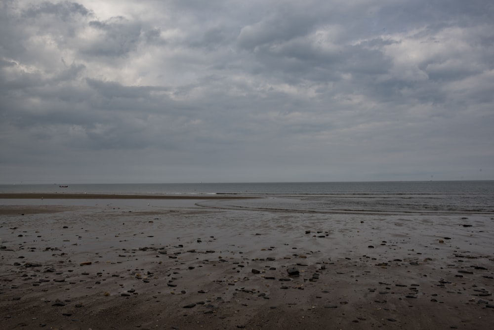 seashore under gray clouds