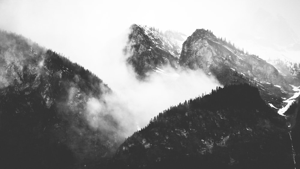 나무와 구름으로 덮인 산의 회색조 사진