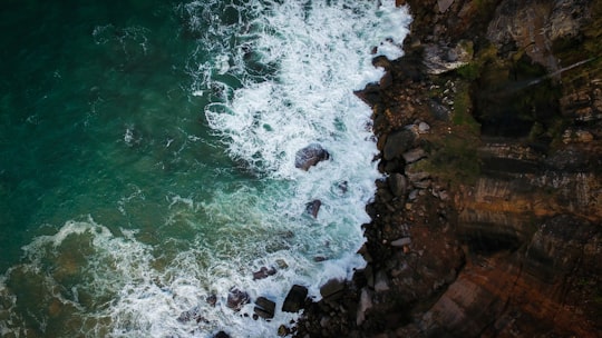 aerial photography of brown cliff near body of water in Stanwell Tops Australia
