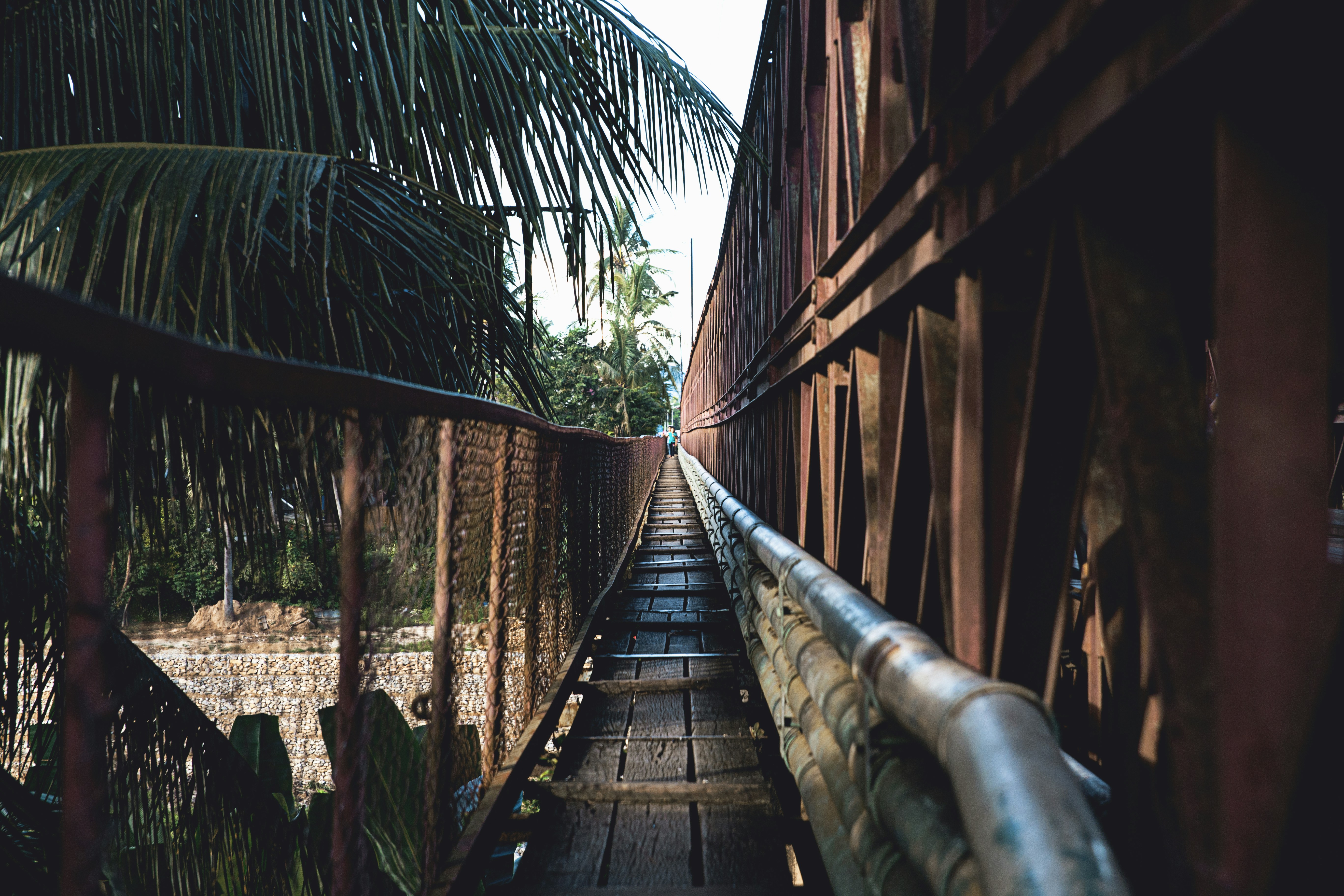 Free Unsplash photo from Peter Hershey