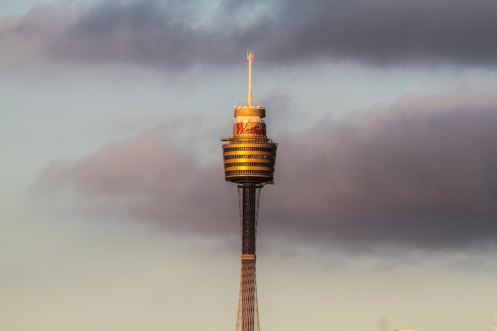 brown and black space needle