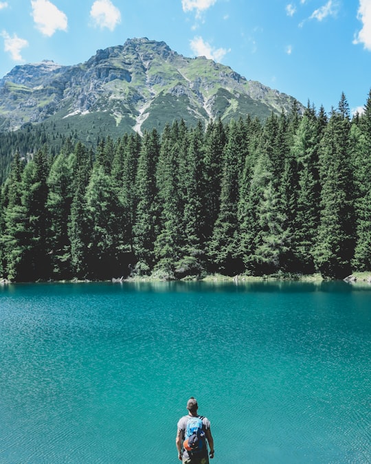 man looking through on lake with pine trees under blue sky in Obernberger See Austria